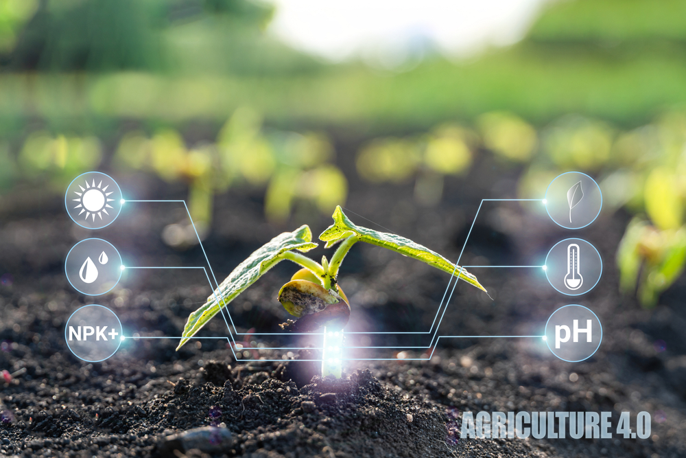 'Farmer-friendly' data collection sets the stage for sustainable ...