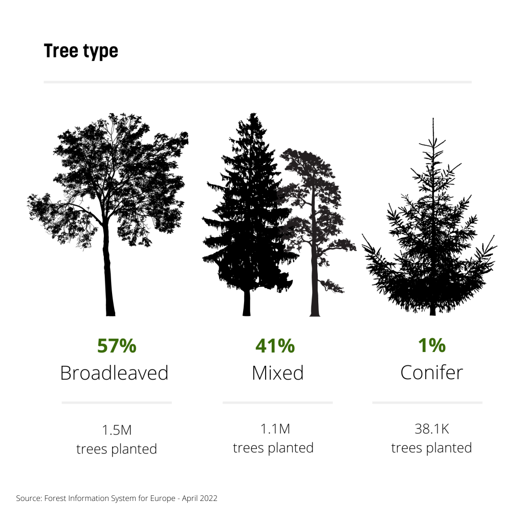 EU's 3 billion trees by 2030 goal: where we stand | Euractiv