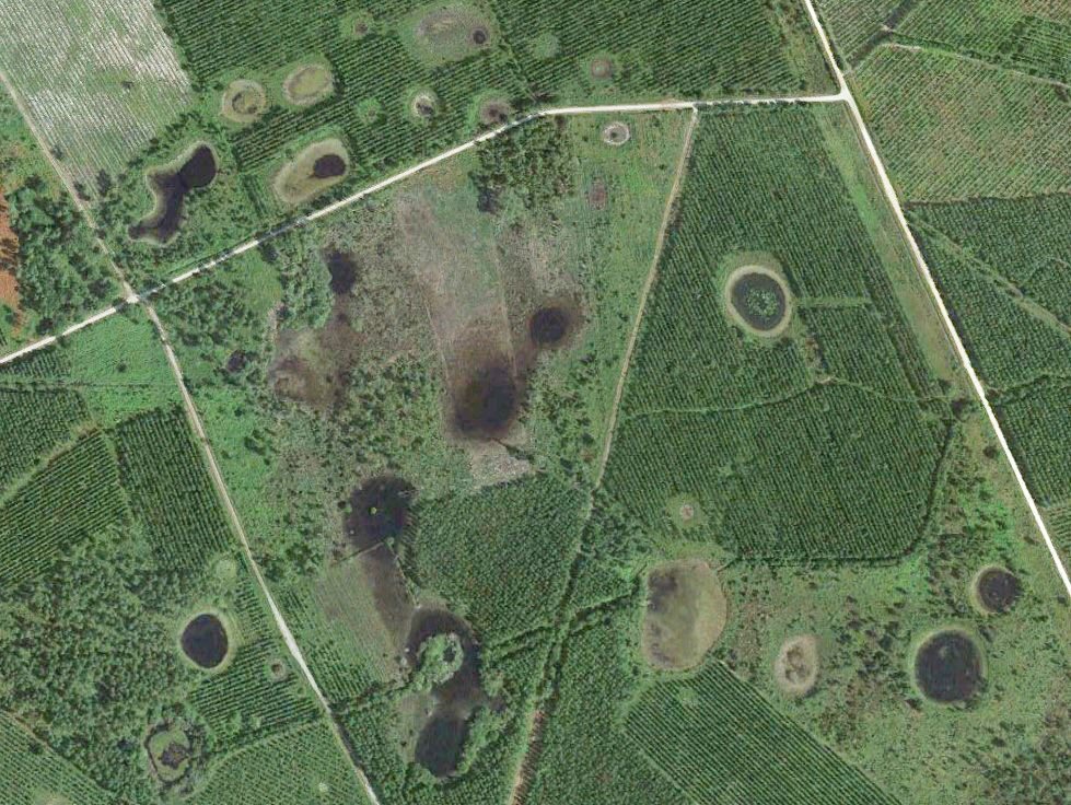 Vue サテライト – Cercles de fée – フランス