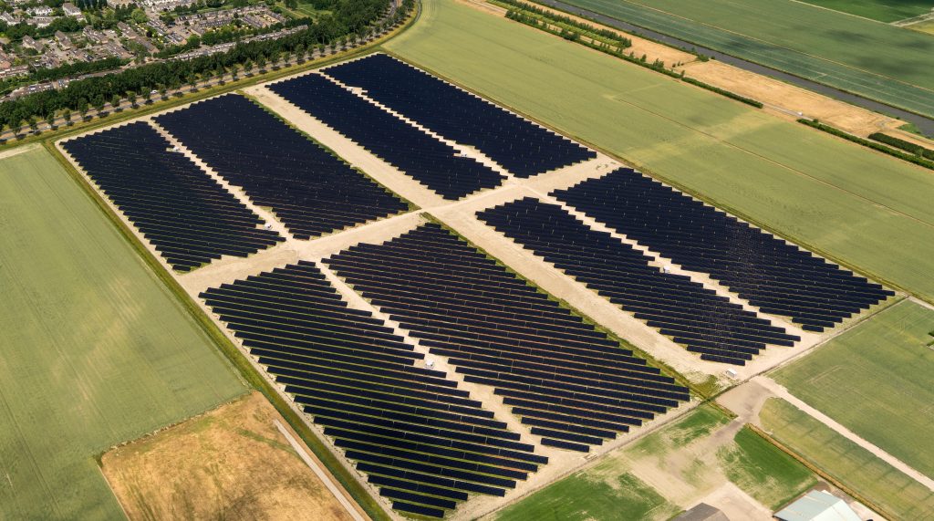 shutterstock_1142568869