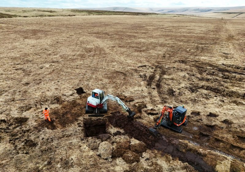 Commission to launch EU-wide pilot on nature credits