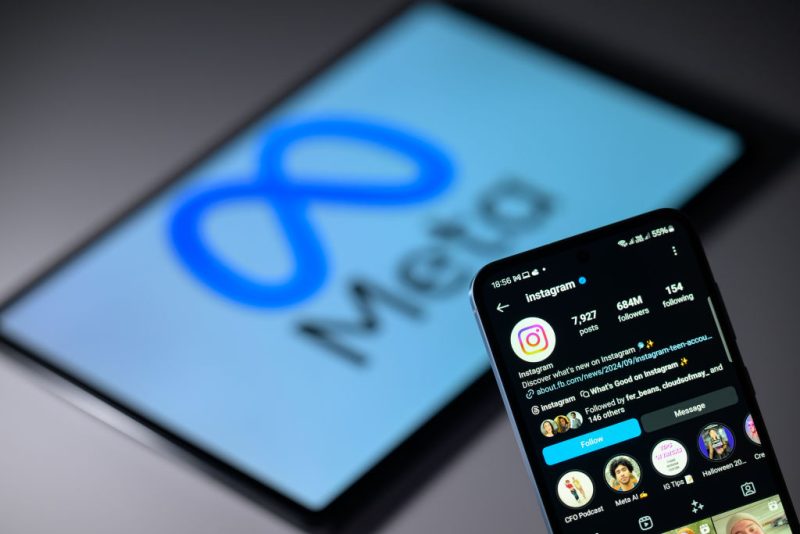 German court rules against consumer effort to stop Meta training AI on user data