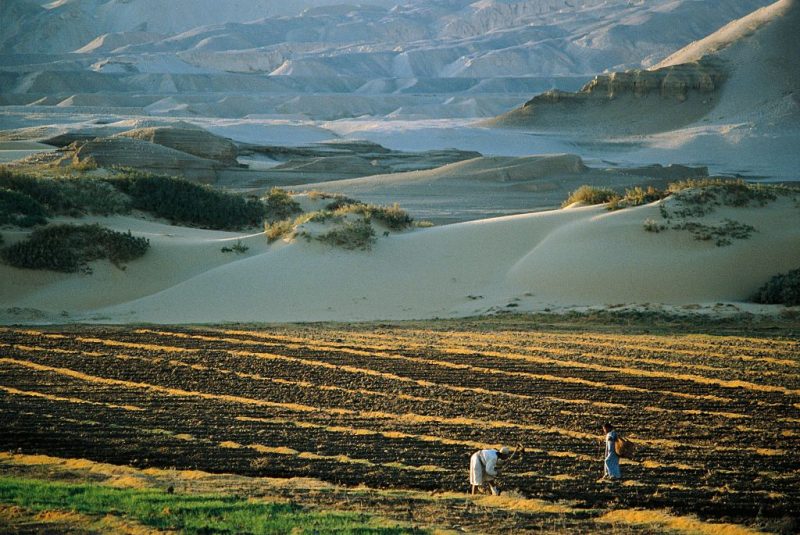 EU scrambles to save Morocco deal with controversial Western Sahara clause