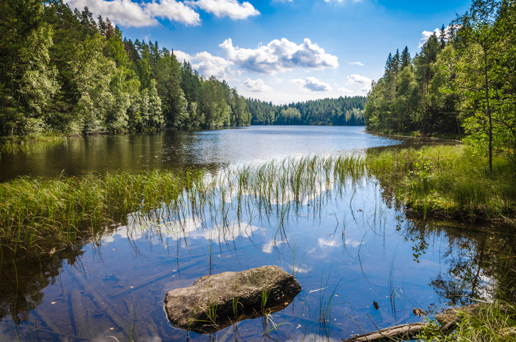 Europe’s Water Framework Directive and the Nickel Environmental Quality Standard risks undermining its Green Ambitions