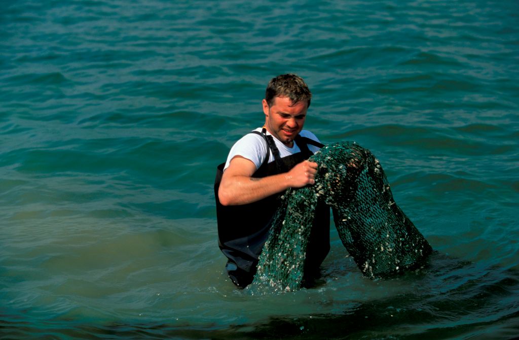 Spanish MEPs lose fight with Italians over clam size