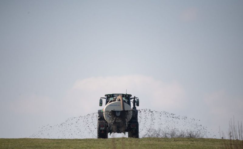 Germany's top court orders government to draft new nitrate action plan