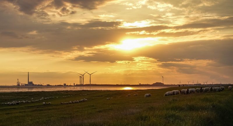 Countries offered sweeteners in pursuit of EU 2040 climate bill deal