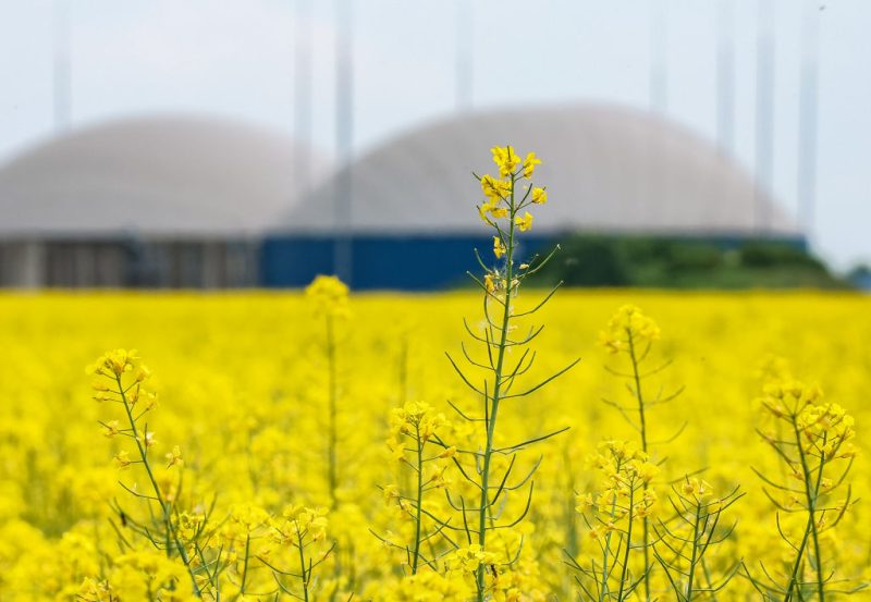 EU countries to discuss taxing crop biofuels as petrol