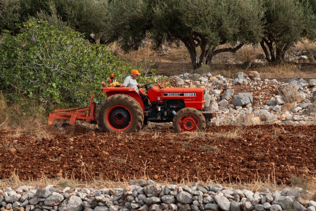 Alleged head of Greece subsidy scandal network detained