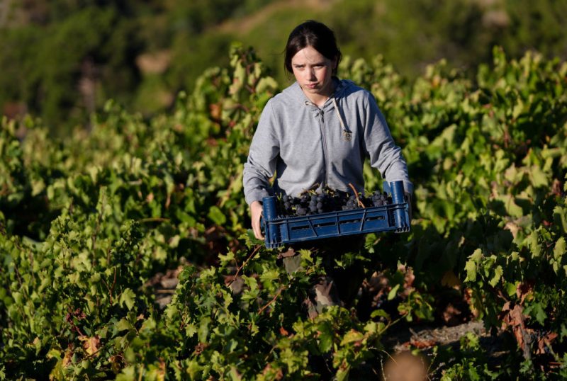 Commission proposal falls short of young farmers’ hopes