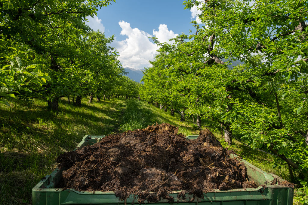 Dutch dispatch manure ambassador on European tour