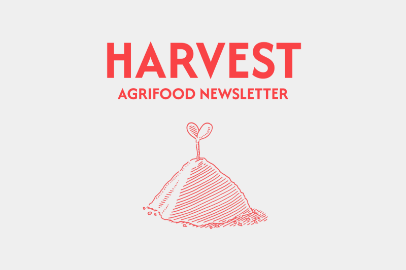 HARVEST: A whiff of change