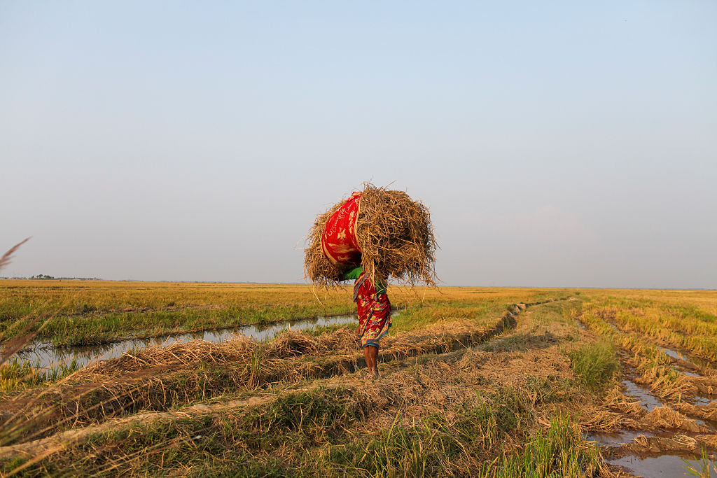 Compromise on rice imports paves way for EU trade preferences overhaul
