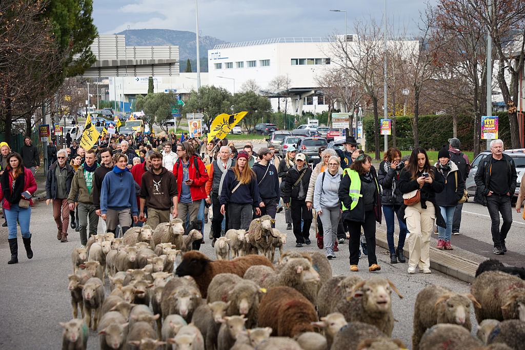 French, Spanish farmers keep up pressure over animal disease handling