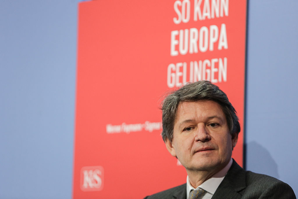 INTERVIEW: The EU lawmaker taking the fight to MAGA