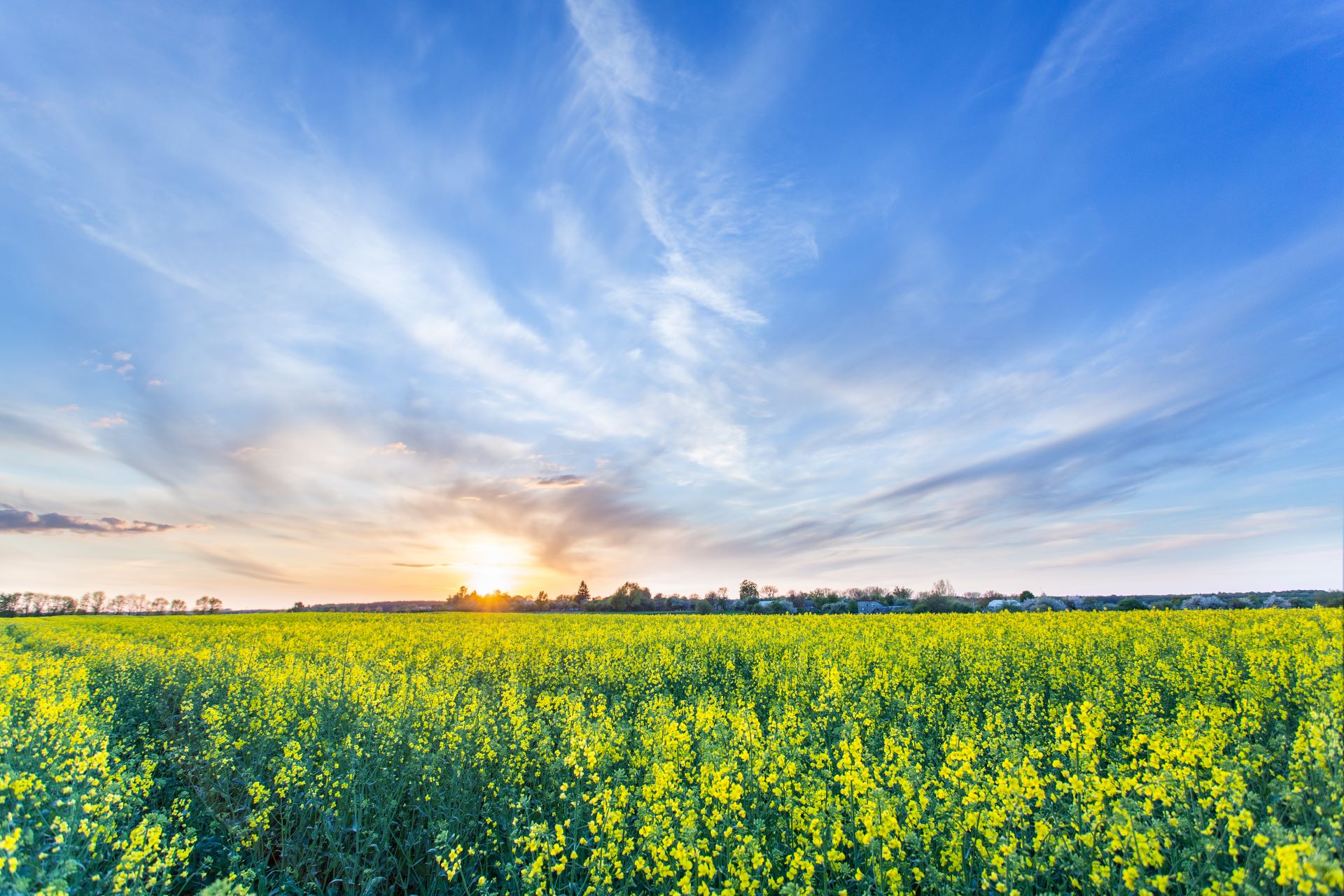 Five years on: Europe’s next chapter in crop protection [Promoted Content]