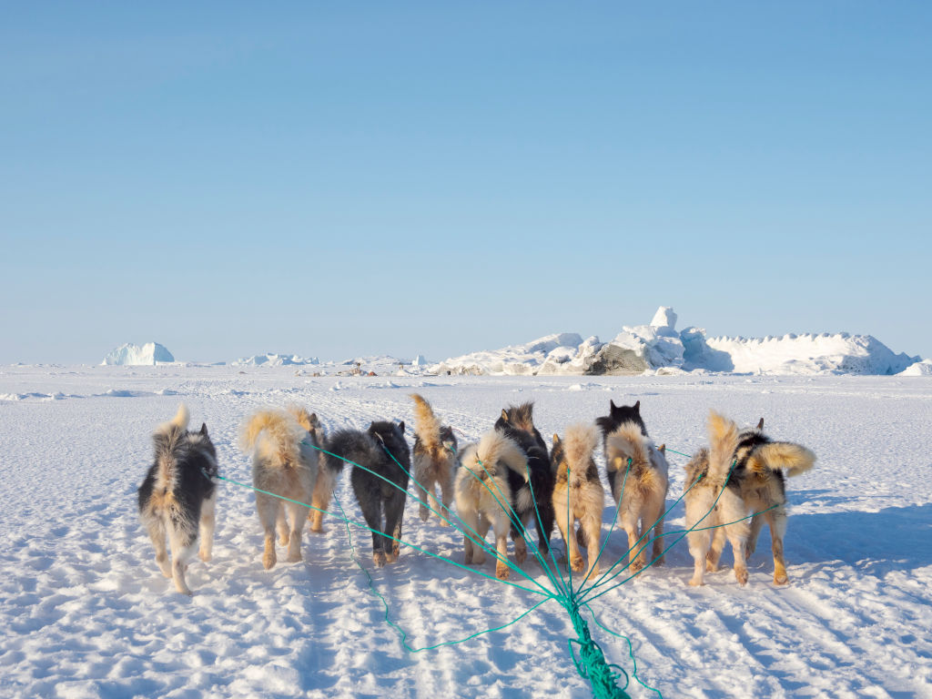 Danish soldiers ordered to fight back if US invades Greenland, Copenhagen confirms