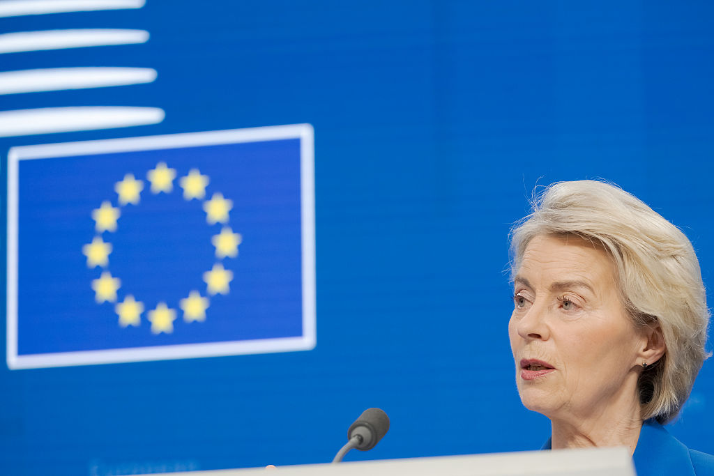 Von der Leyen proposes to unlock €45 billion for farmers to secure support for Mercosur deal