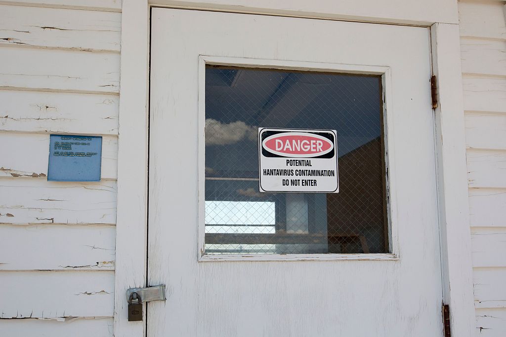 European Centre for Disease Control sends expert to Hantavirus ship