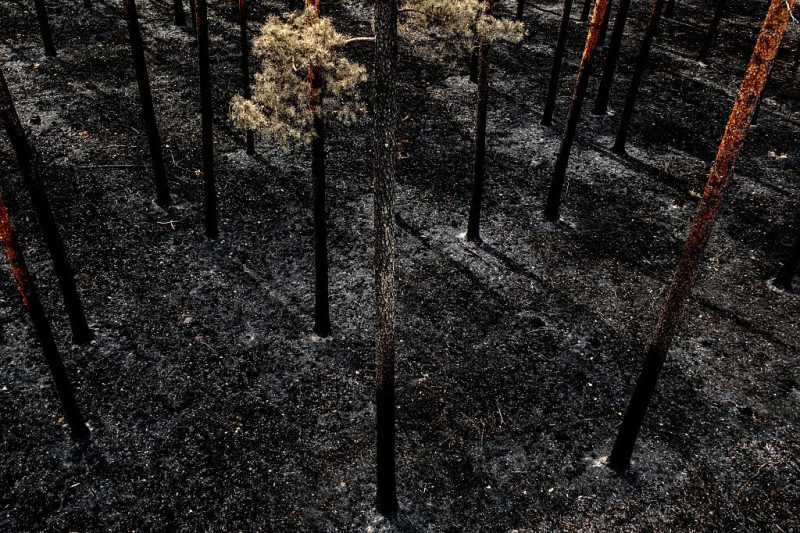Fire season is coming again: Is Europe ready this time?