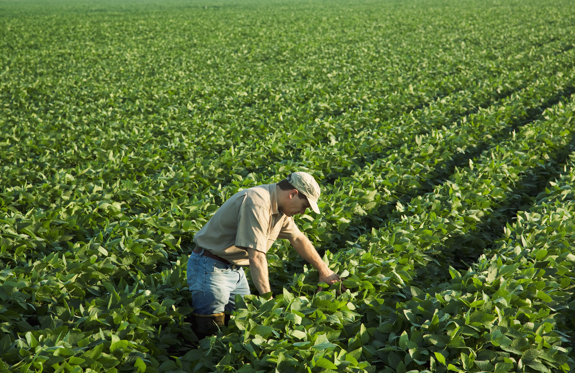 Omnibus X – and how it impacts biocontrol [Promoted Content]