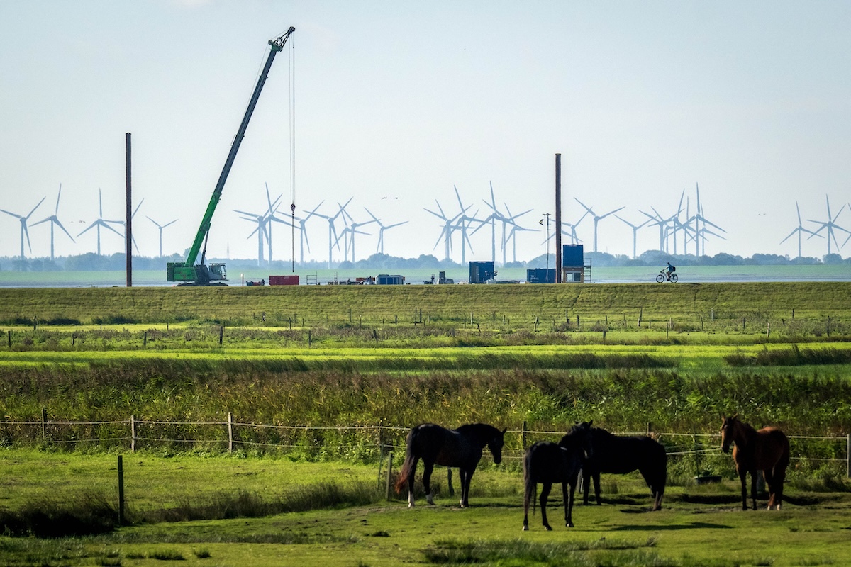 Parliament backs Commission in electricity grid power grab