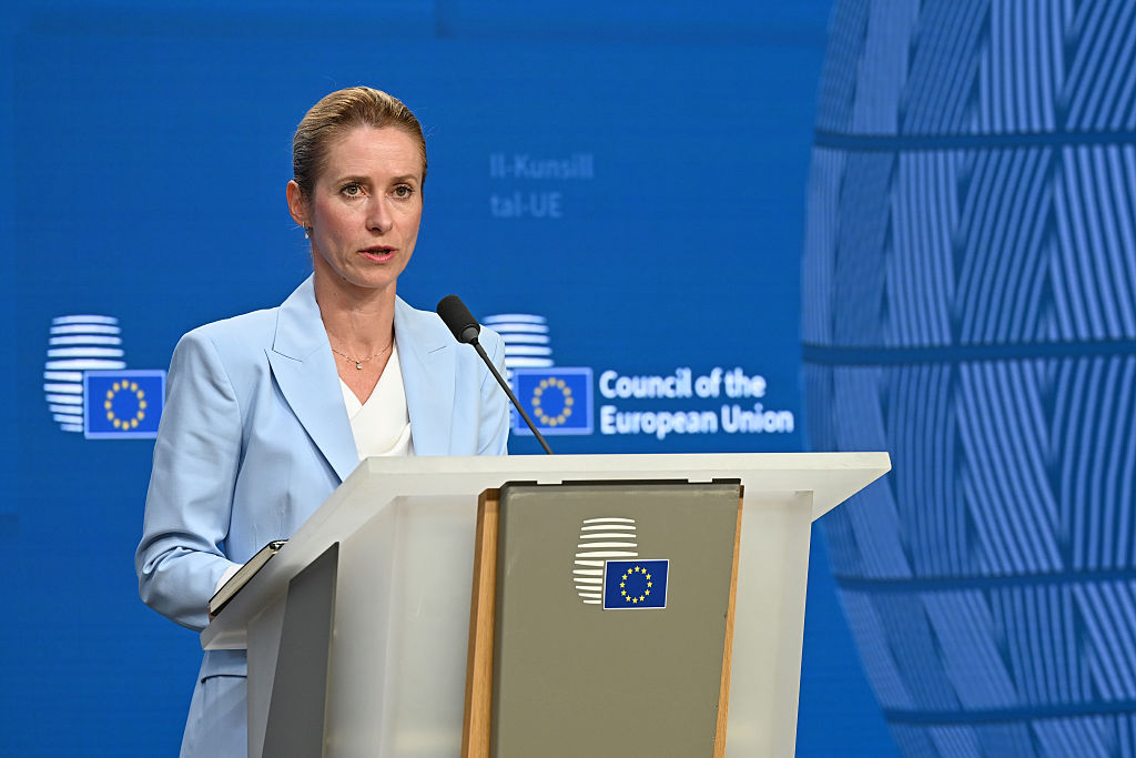 Kallas turns to defence veterans to plug Europe’s security gaps