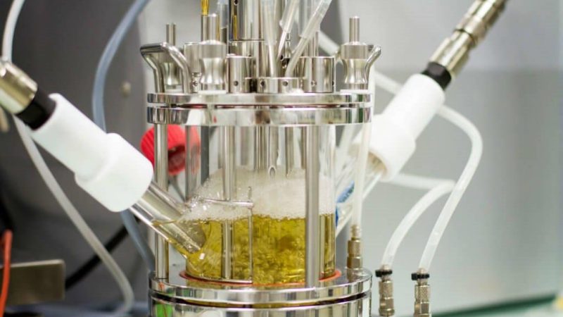 Innovation: the key to unlocking the potential of sustainable plastic packaging in the food and drinks sector - Vimarsana News
