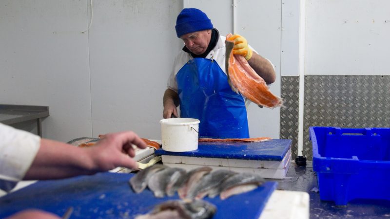 UK fishing sector sees more job losses due to post-Brexit export troubles - Vimarsana News