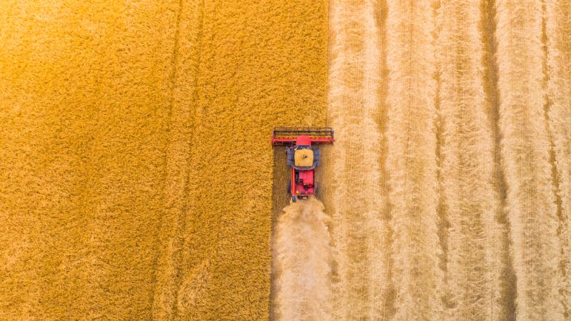 Germany Lobbies EU To Suspend Crop Rotation Rules EURACTIV