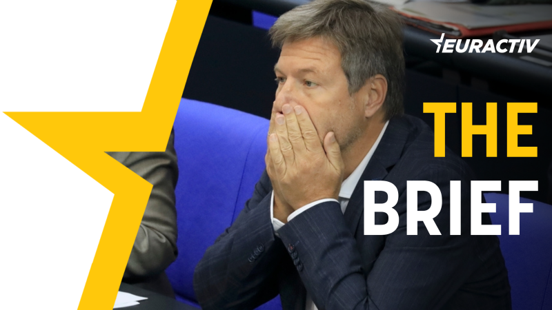 The Brief — The German Greens' third wheel syndrome - Vimarsana News