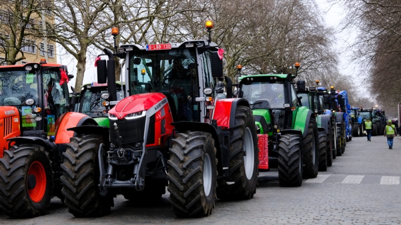 Slovenian farmers walk out of government talks over environmental policies - Vimarsana News