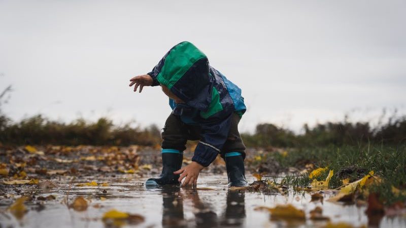 Empowering the Next Generation: Nature-Based Solutions Education - Vimarsana News