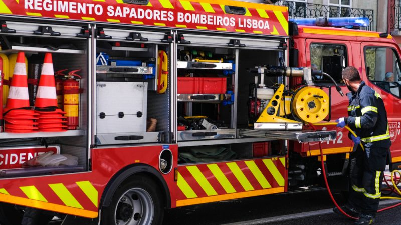 Portuguese environment minister praises forest, anti-fire investments - Vimarsana News
