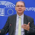 The head of the EU Green Party criticizes the Belgian central banker's claim that the fight against climate change will make the EU poorer
