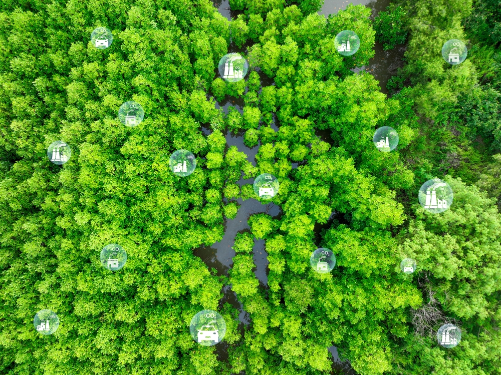Eu needs common standards defining high quality carbon credits say