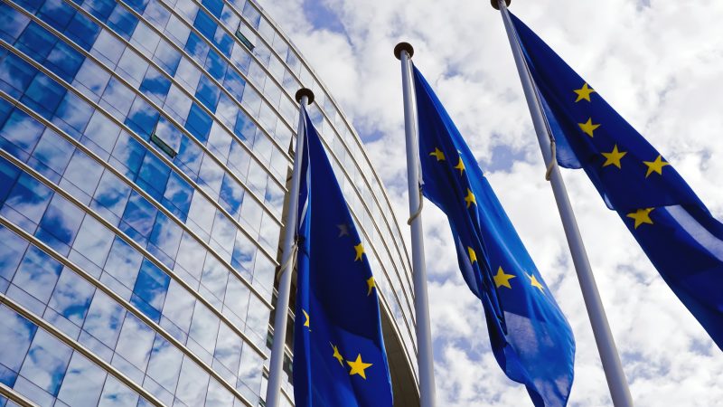 Balancing EU Competitiveness and Sustainability: A Call for Sustainable Trade in Global Supply Chains - News Directory 3